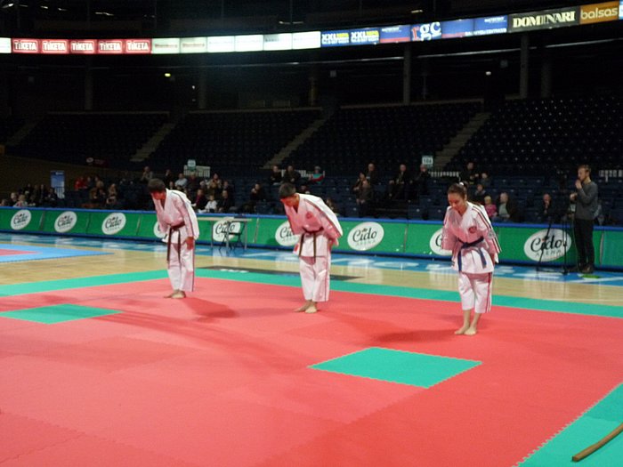 Кубок Европы 2014 г. Донецк 