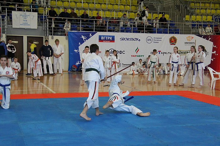 Кубок России 2015