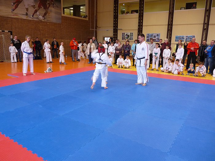 Кубок МО 2015