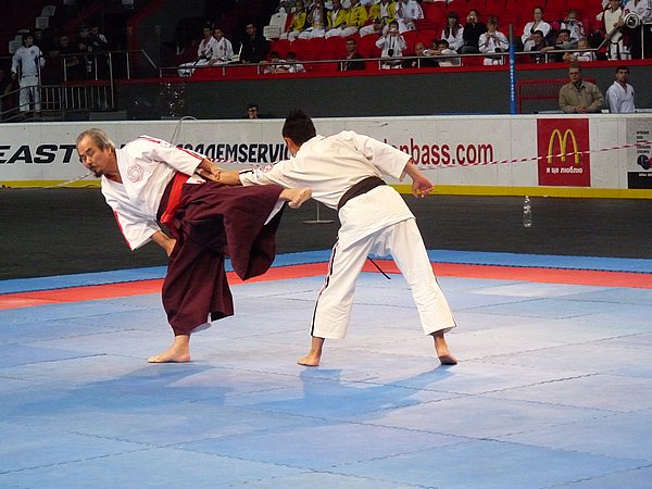 Чемпионат и Первенство Европы 2011 Донецк 
