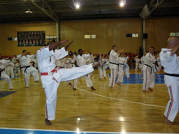 Чемпионат и Первенство Европы 2011 Донецк 