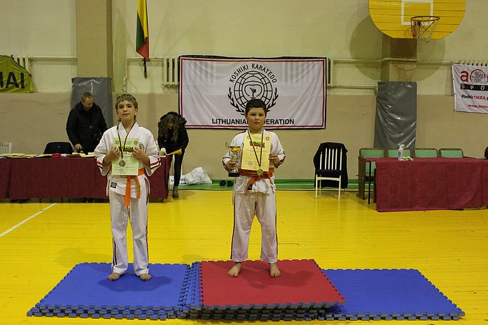 Чемпионат и Первенство Европы 2013г Литва 