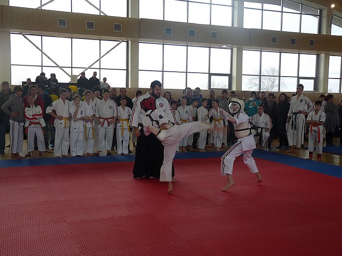 Школьная спортивная лига Единоборств 2014